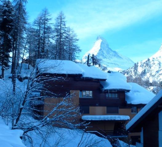Studio Central Et Chaleureux 1 Zermatt Exteriör bild